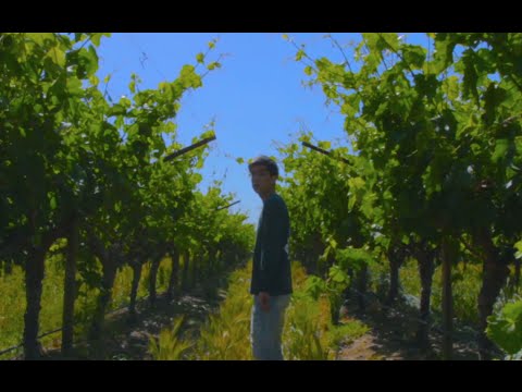 niahn (늬안)- HSAB (허수아비 pt.2)