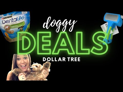 Puppy Haul 2021: How to shop for dogs on a budget! Shop with me at Dollar Tree! Dollar tree haul