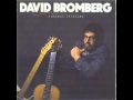 David Bromberg - Long Tall Mama