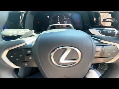 Lexus RZ 450E Premium Pan Roof - Image 2