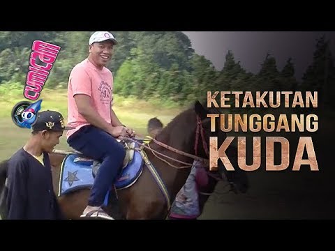 Mana untuk membeli agen penyebab lalat Spanyol Agen perempuan farmasi