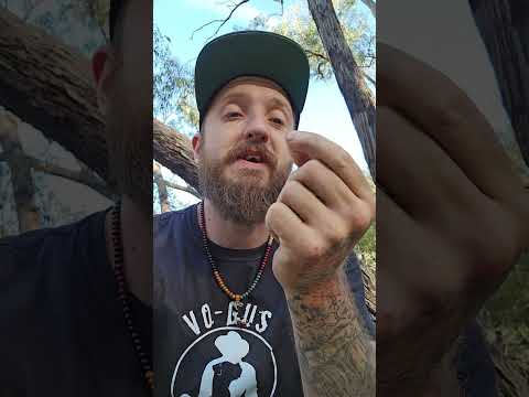 $1,000 Metal Detector vs Aussie Gold Fields