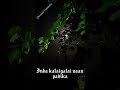 Katti Vachiko Endhan Anbu Manasa Malaysia Vasudevan And S Janaki Song Lyric Full Screen