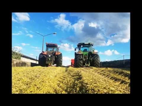 ICH UND MEIN MAIS  / Die Hektar hat , 257er Holz / Die immer Lacht Parodie