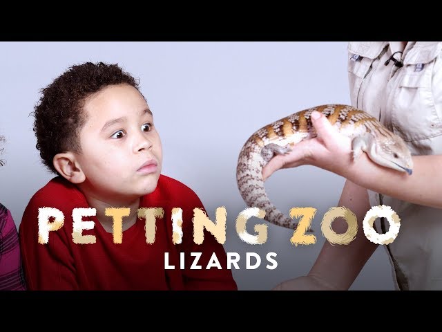 Video Pronunciation of petted in English