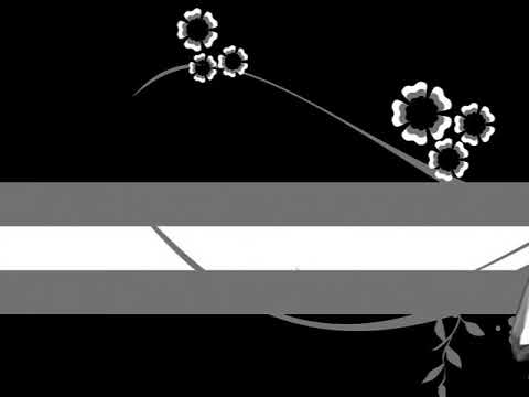 Wolves Selena Gomez, Marshmello X Shape Of You Ed Sheeran