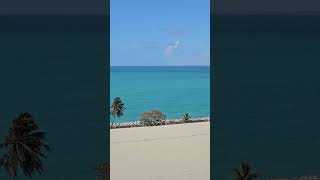 PORTO DE MACEIÓ! OLHA A COR DESSA ÁGUA! 😍 #danceinstructor #cruise #travel