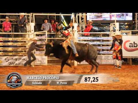 Rodeio de Rinópolis 2015 - GOLD COWBOY / 1° ROUND