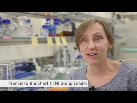 Franziska Bleichert group leader at the Friedrich Miescher Institute for Biomedical Research