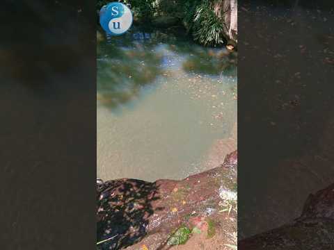 #santander #Pinchote #turismo #viajes