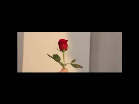 Tetea J- He rose par hi ka valentines  (official music video)