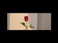 Tetea J- He rose par hi ka valentines  (official music video)