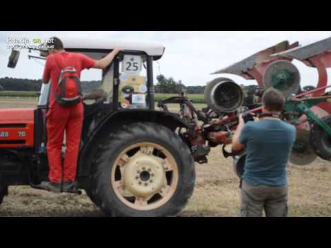 Tekmovanje oračev Slovenije - petek