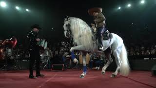 El Quijote De Don Chuy - (Calibre 50 - Palenque de Culiacán 2019)