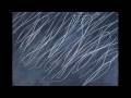 complot bronswick - born in a cage 