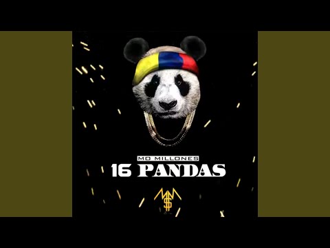 16 Pandas
