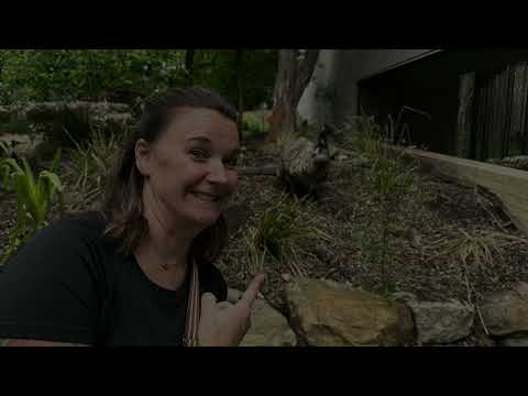 Thumbnail for Sydney Zoo 2023 Transpacific Cruise