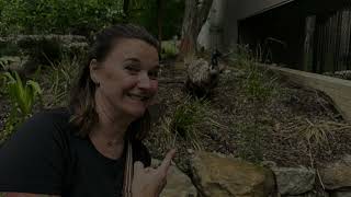 Sydney Zoo 2023 Transpacific Cruise