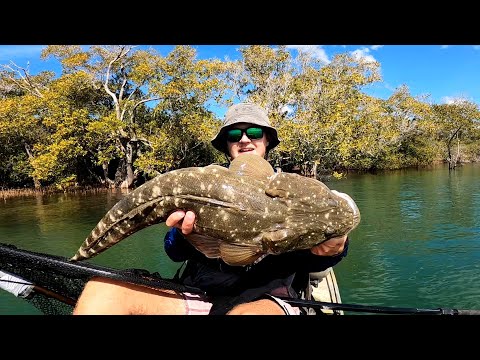 Kayak Fishing for GIANT Flathead!!