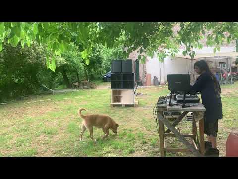 ACIDCORE-TRIBECORE 2// Bolingotek - Drumantek @ Braincrash Crew 2k20