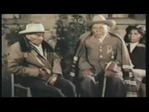 Testimonios Zapatistas