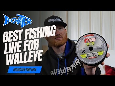 How to Select the Best Types of Fishing Line for Walleye Fishing