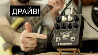 Video thumbnail for Обзор TC ELECTRONIC Spectra Drive Bass by Bassberserk