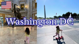 Exploring Washington DC | ワシントンDCを満喫する週末