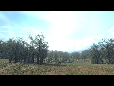 VR Relaxing Meadow