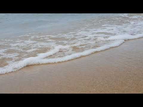 Sea #Shot #viral #Shot