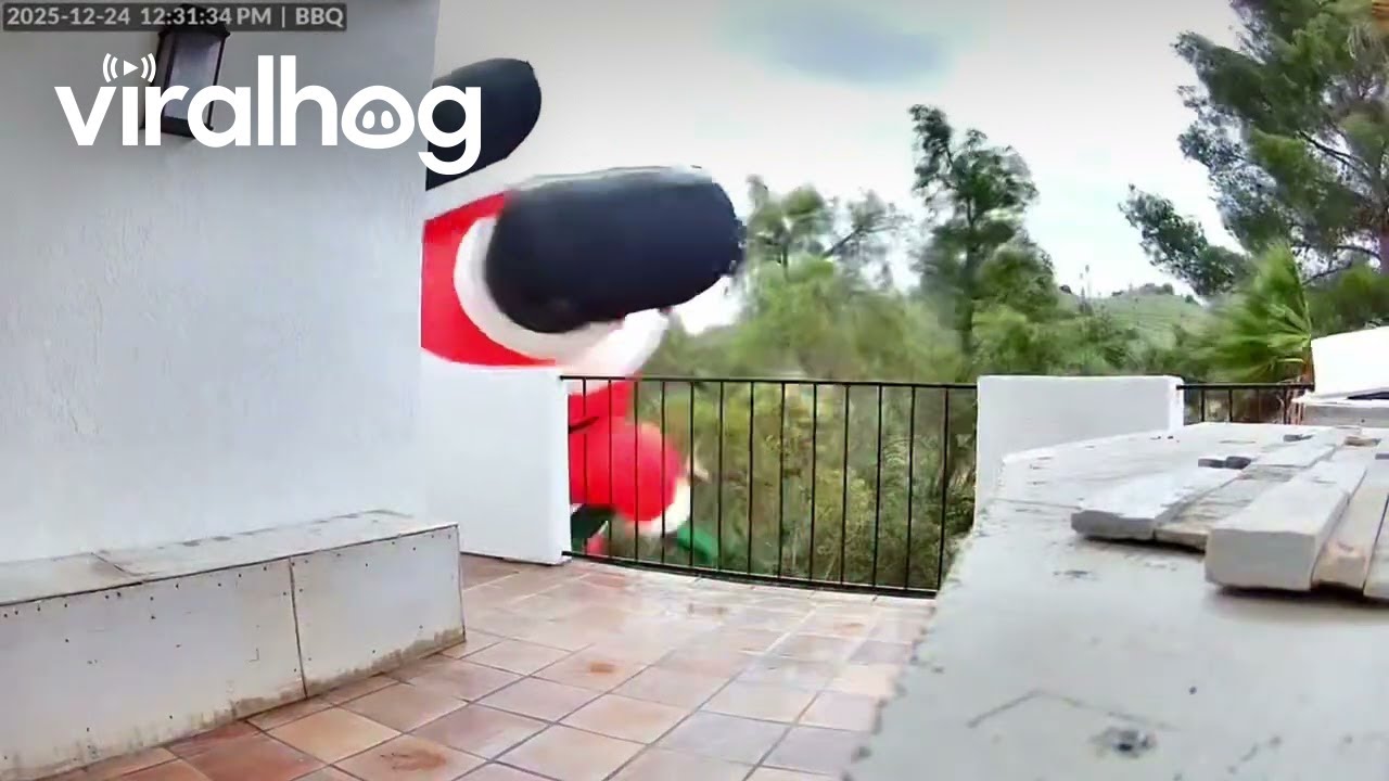 Santa Is Out for Delivery! || ViralHog