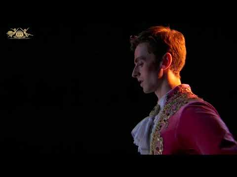Anthony Austin (Ireland) - Paquita Variation | XIV Moscow Ballet Competition, Senior Round 1