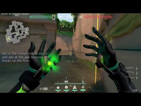 Mid Tier Viper Rat Pits on Lotus