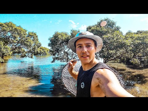 Solo Exploring for MUDCRABS & Fishing Remote Australia - Catch n Cook!