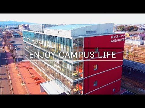 臨床検査学科 キャンパスイメージ