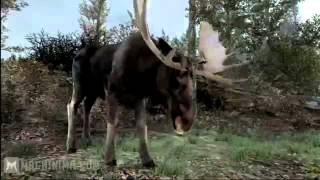 Cabela's Big Game Hunter 2012 Gameplay Trailer [HD]233