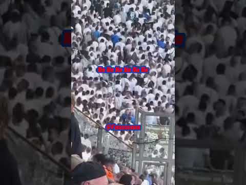 Hansa Rostock Ultras in Dresden #ultras #football #shorts #shortsfeed #yt #tiktok