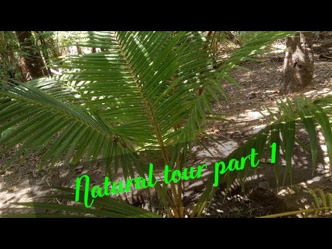 Natural Tour part-1 | Tamil |navina Tholan