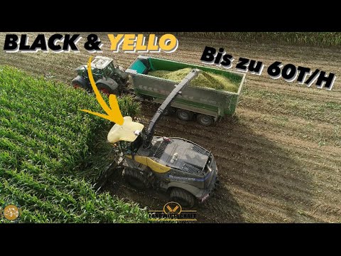 DER NEW HOLLAND FR780 IN BLACK & YELLO Sonderlackierung Lohnauftrag Maishäckseln bis zu 60T/H