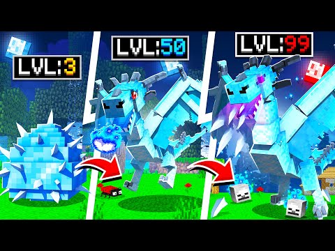 Evolving ICE DRAGON to GOD DRAGON in Minecraft!
