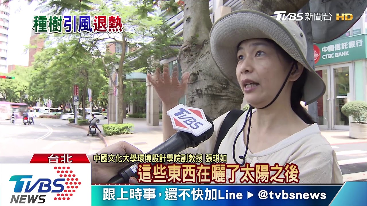 行道樹若種不好 降溫效果很有限