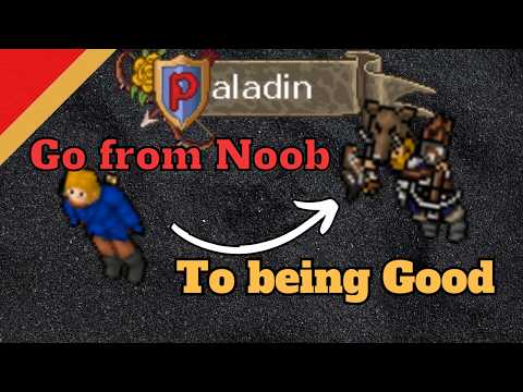 The Fundamentals to be a Better Paladin