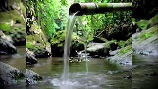Download lagu Live  Suara air sungai untuk terapi burung stress - Relaksasi Burung - Terapi burung macet mp3
