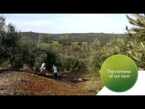 Voiceovers YouTube video thumbnail - DCOOP Moving forward towards a greater agrifood cooperative RUSSIAN VERSION