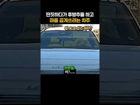 딴짓하다가 후방추돌하고 꼽주는 차주