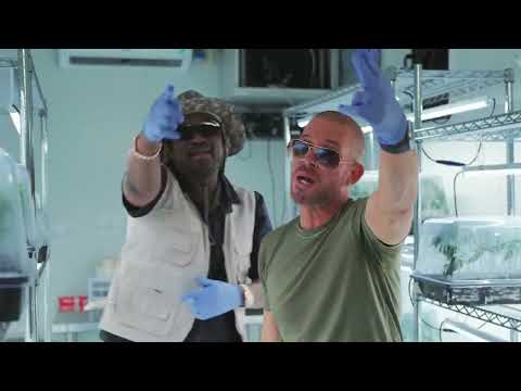 Collie Buddz x Busy Signal   'Spark Up' Official Music Video