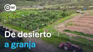 Cómo crear una granja sostenible en una zona árida de Chile