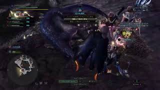下手の物好き　MHWIやります
