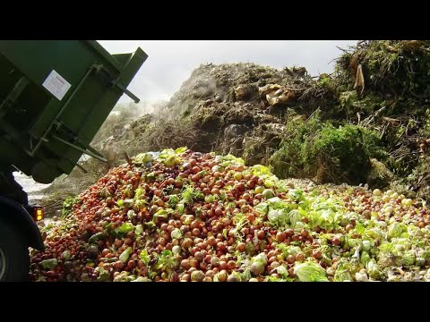 BBC 六分鐘學英語十六 (BBC Learning English_Food waste _2016)