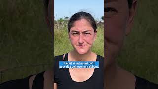 Soudan : Malnutrition mortelle au Kordofan du Sud
